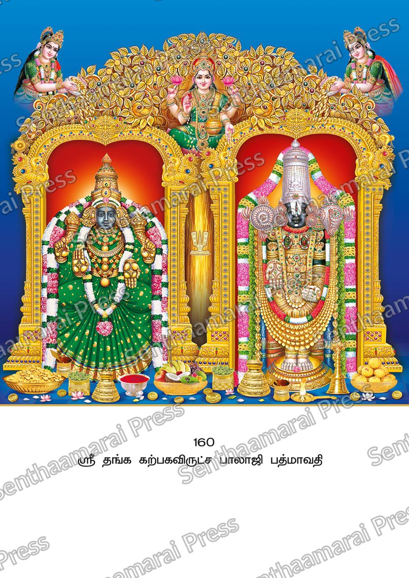 Lotus 10x15 Lamination Board | Sri Thanga Karpagavirutcha Balaji Padmavathi – Wish-Fulfilling Golden LDB - Readymade board with mount & Panchangam — 10x15 Lamination Board | Senthaamarai Press
