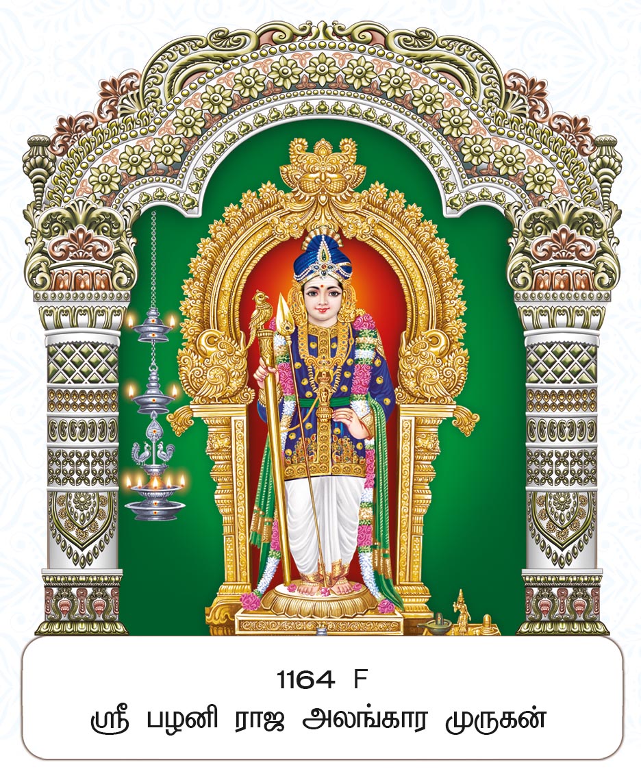 11x17 Fancy Cut Sri Palani Raja Alankara Murugan – Silver Pillars & Golden Mandapam Royal Darshan
