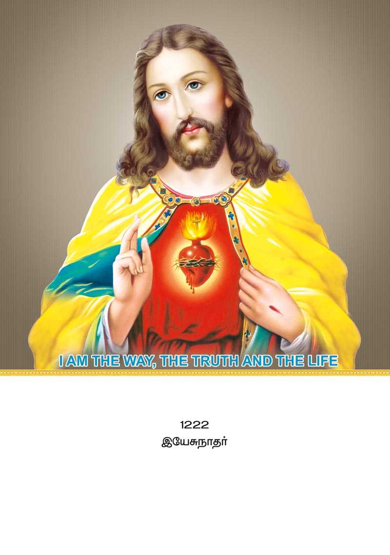 12x18 Yesunathar – Sacred Heart of Jesus Light & Truth LAM