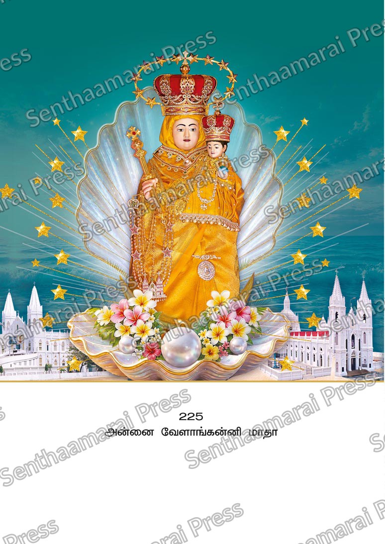 Lotus 10x15 Lamination Board | Annai Velankanni Matha – Sacred Star of the Sea LDB - Readymade board with mount & Panchangam — 10x15 Lamination Board | Senthaamarai Press