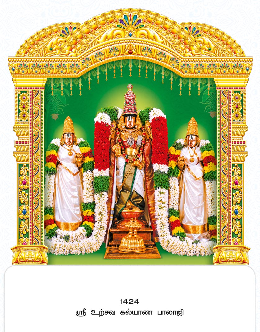 14x24 Fancy Cut Sri Uthsava Kalyana Balaji – Divine Wedding Golden Mandapam Darshan UV GLITTER FC ONLY BOARD