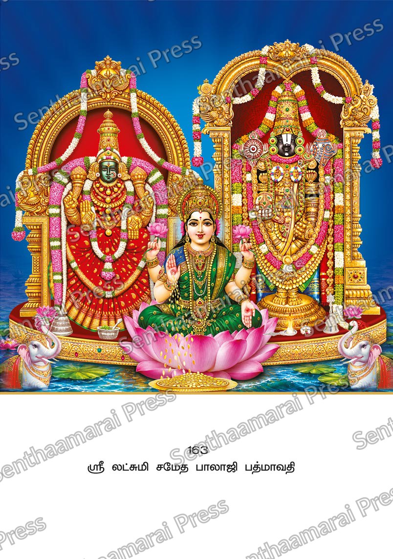 Lotus 10x15 Lamination Board | Sri Lakshmi Sametha Balaji Padmavathi – Divine Prosperity LDB - Readymade board with mount & Panchangam — 10x15 Lamination Board | Senthaamarai Press