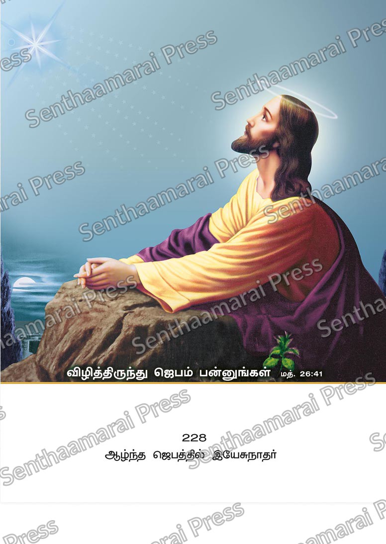 10x15 Lamination Board | Azhndha Jebathil Yesunathar – Christ in Deep Prayer LDB - Readymade board with mount & Panchangam