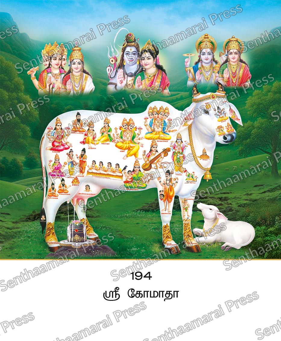 Lotus 10x15 Lamination Board | Sri Gomatha – Sacred Kamadhenu & Universal Deities LDB - Readymade board with mount & Panchangam — 10x15 Lamination Board | Senthaamarai Press