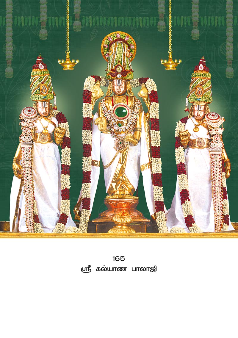 10x15 Sri Kalyana Balaji – Divine Sridevi Bhudevi Blessings PAM