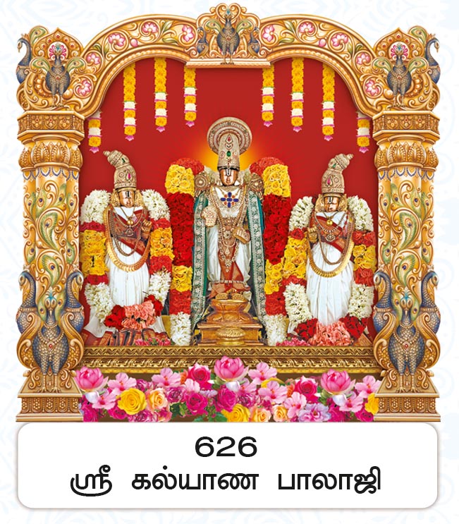 6X 9 Sri Kalyana Balaji – Divine Sridevi Bhudevi Darshan FC ONLY BOARD