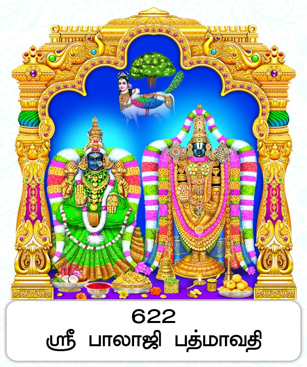 6X 9 Sri Balaji Padmavathi – Wish-Fulfilling Kamadhenu Blessings FC ONLY BOARD