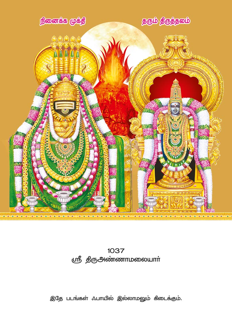10x15 Special Gold Sri Thirumannamalaiyar – Sacred Arunachala Holy Fire Darshan SGL Mount