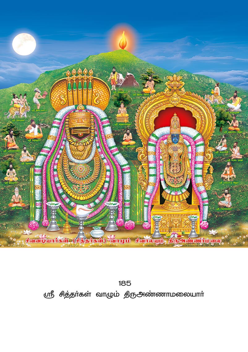 10x15 Sri Sithargal Vaazhum Thiruvannamalaiyar – Holy Hill of Siddhars LAM