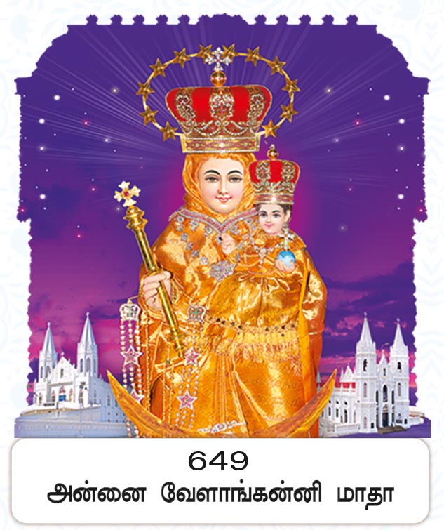 6X 9 Annai Velankanni Matha – Sacred Star of the Sea Blessings FC ONLY BOARD