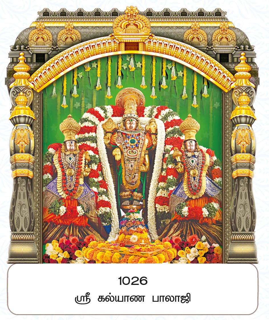 10x15 Fancy Cut Sri Kalyana Balaji – Divine Sridevi Bhudevi Wedding Darshan FC ONLY BOARD