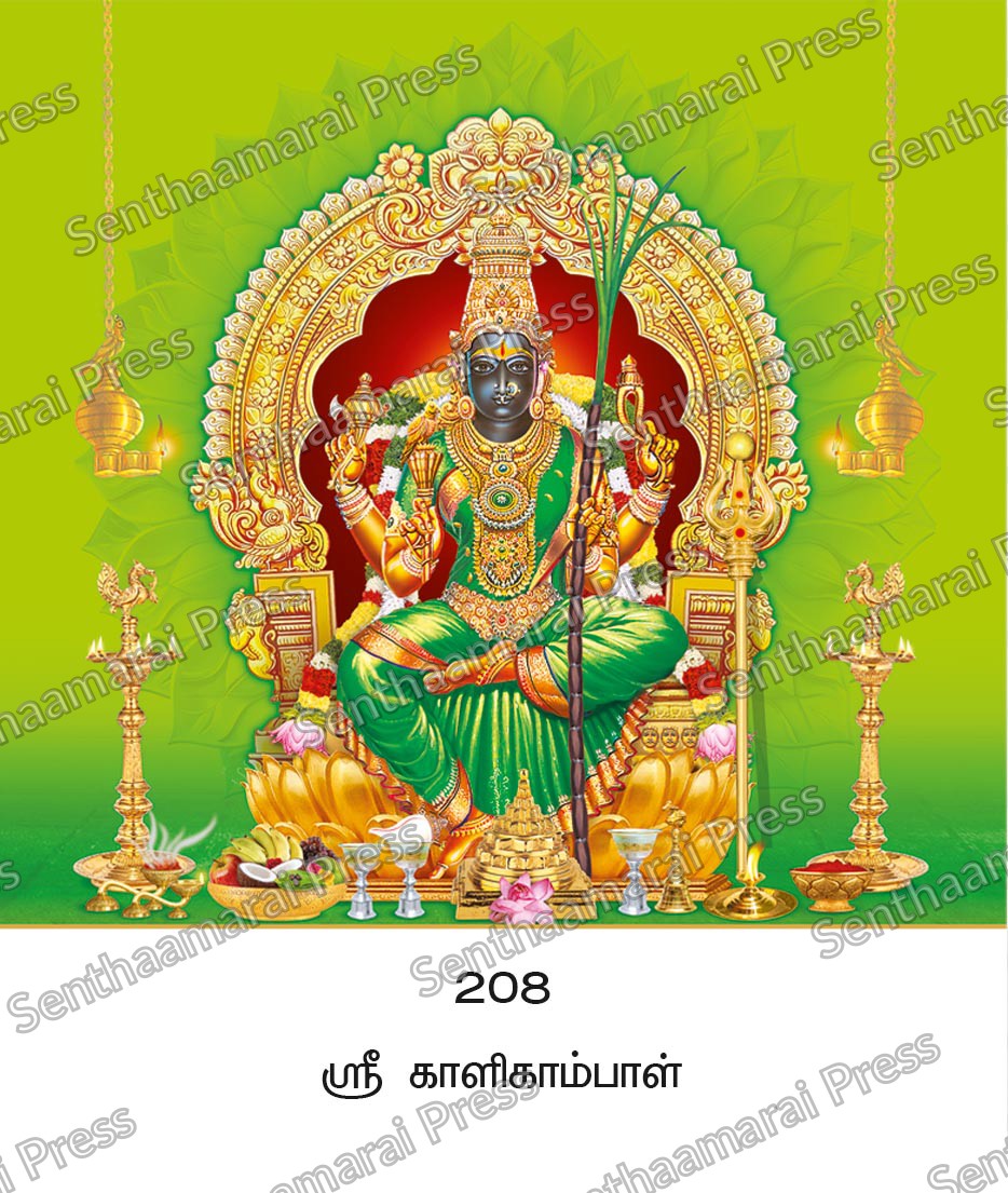 Lotus 10x15 Lamination Board | Sri Kaligambal – Chennai Sacred Divine Mother LDB - Readymade board with mount & Panchangam — 10x15 Lamination Board | Senthaamarai Press