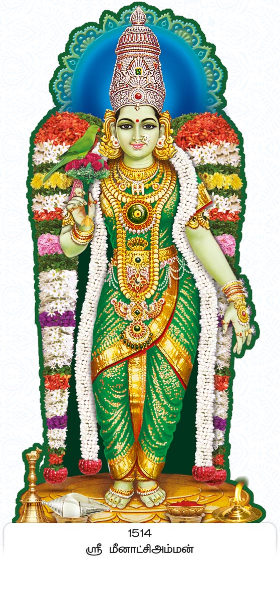 14x40 Fancy Cut Sri Meenakshi Amman – Sacred Madurai Temple Divine Darshan FC ONLY BOARD