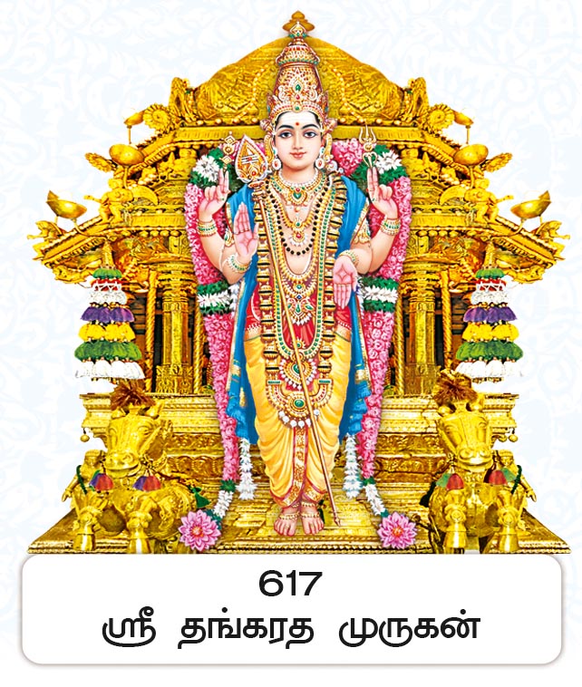 6X 9 Sri Thangaratha Murugan – Golden Chariot Procession FC ONLY BOARD
