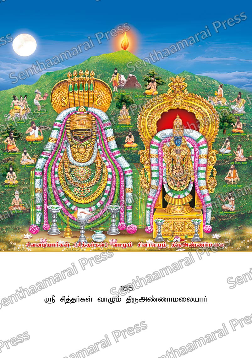 Lotus 10x15 Lamination Board | Sri Sithargal Vaazhum Thiruvannamalaiyar – Holy Hill of Siddhars LDB - Readymade board with mount & Panchangam — 10x15 Lamination Board | Senthaamarai Press
