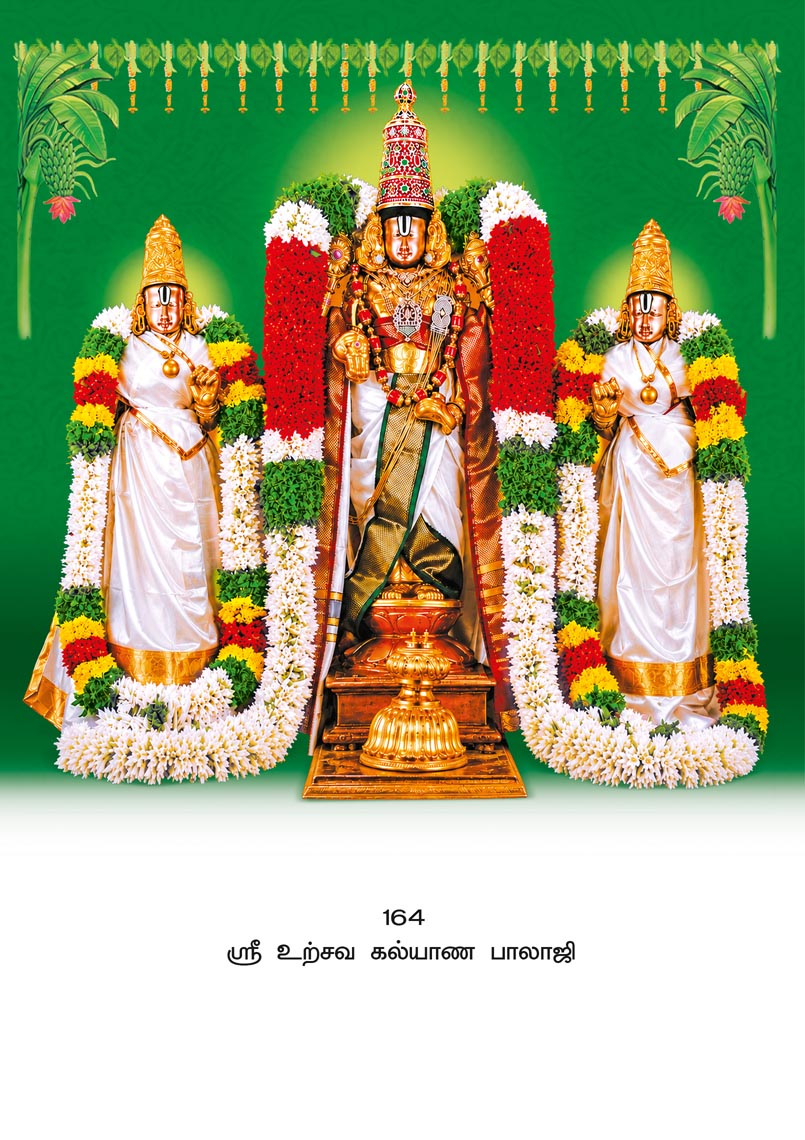 10x15 Sri Uthsava Kalyana Balaji – Sacred Wedding Darshan PAM
