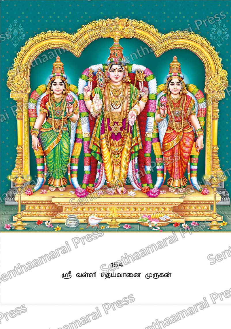 Lotus 10x15 Lamination Board | Sri Valli Deivanai Murugan – Divine Couple Blessings LDB - Readymade board with mount & Panchangam — 10x15 Lamination Board | Senthaamarai Press