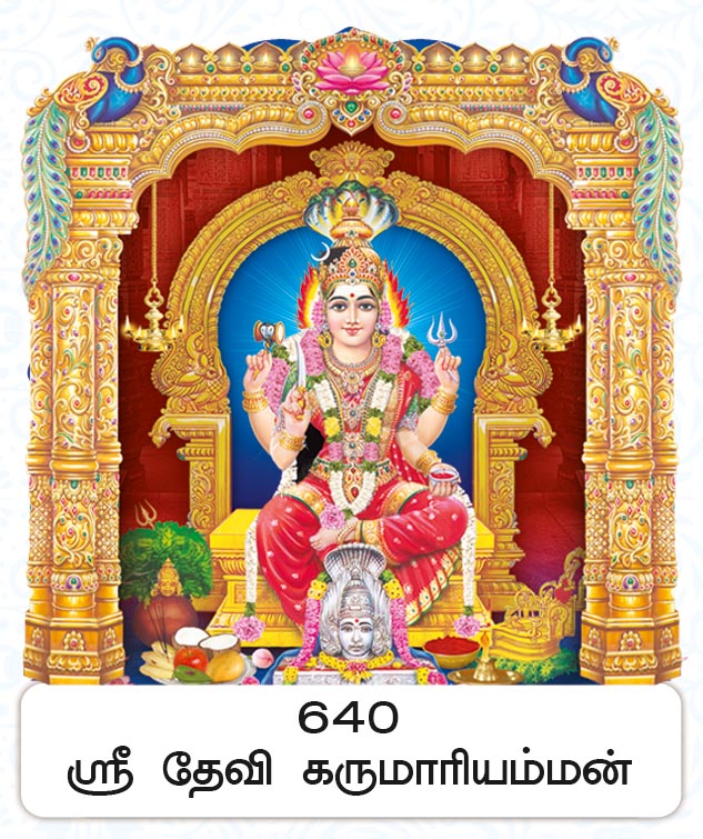 6X 9 Sri Devi Karumariamman – Thiruverkadu Sacred Nagapoosani FC ONLY BOARD