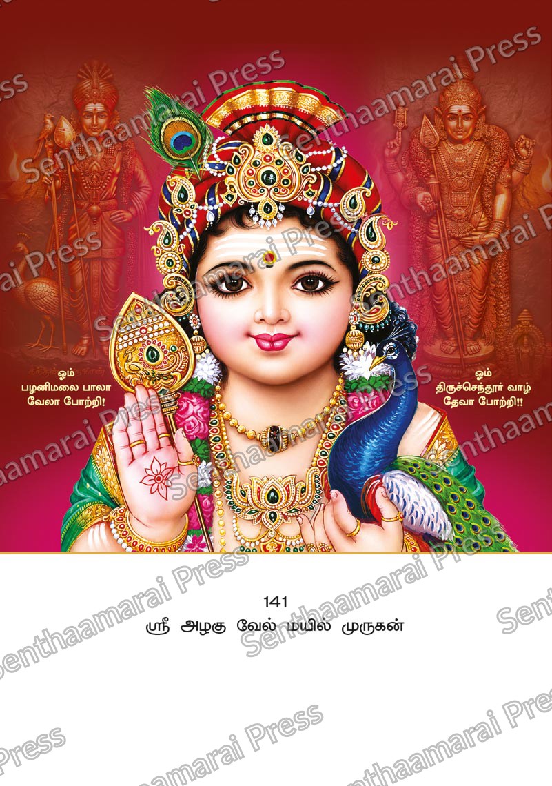 Lotus 10x15 Lamination Board | Sri Azhagu Vel Mayil Murugan – Graceful Peacock & Vel LDB - Readymade board with mount & Panchangam — 10x15 Lamination Board | Senthaamarai Press