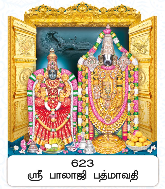 6X 9 Sri Balaji Padmavathi – Golden Temple Gateway Darshan FC ONLY BOARD