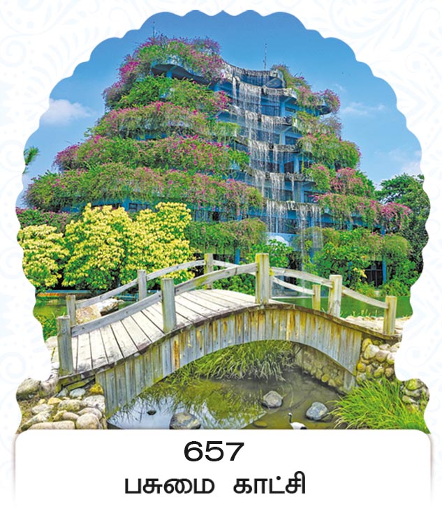 6X 9 Pasumai Kaatchi – Scenic Wooden Bridge & Waterfall Resort FC ONLY BOARD