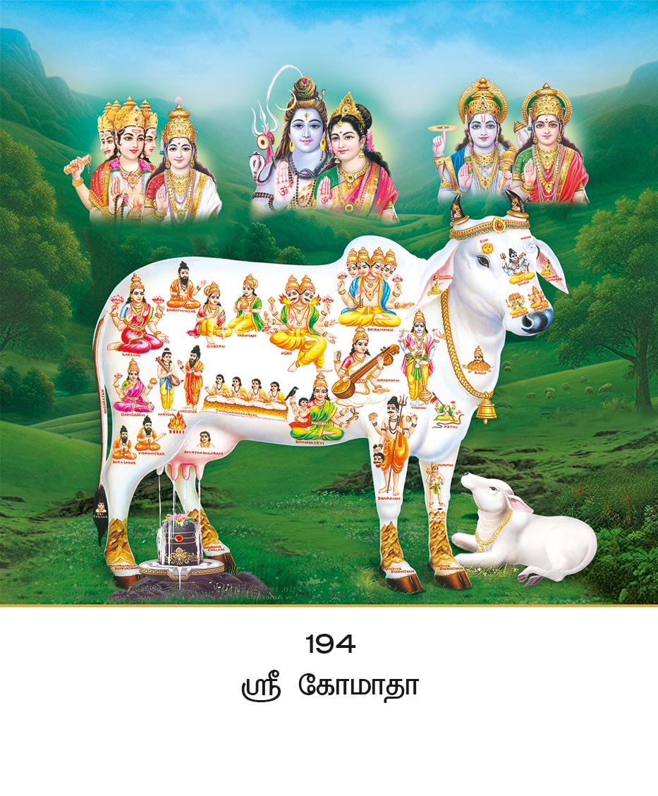 10x15 Sri Gomatha – Sacred Kamadhenu & Universal Deities PAM