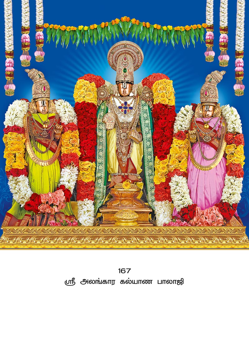 10x15 Sri Alankara Kalyana Balaji – Grand Floral Garland LAM