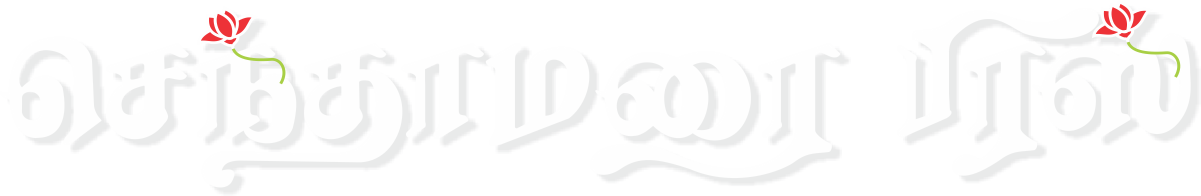 DailyCalendarStore