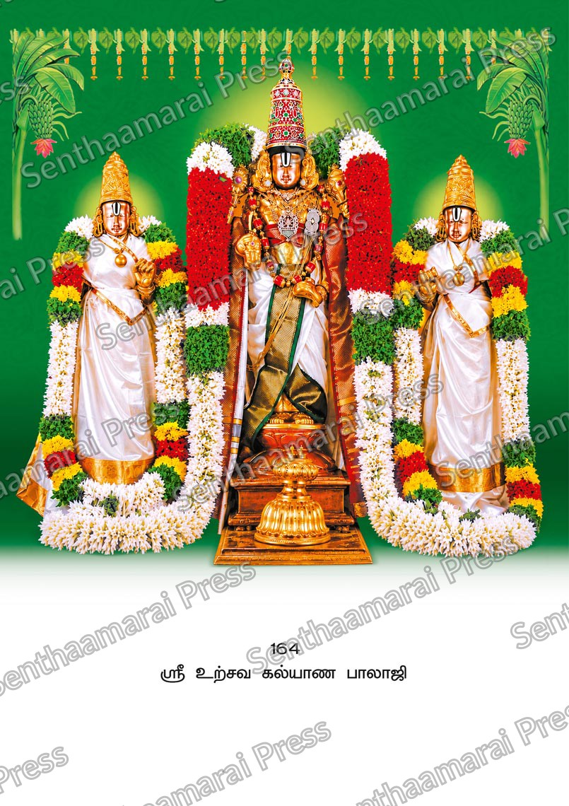 Lotus 10x15 Lamination Board | Sri Uthsava Kalyana Balaji – Sacred Wedding Darshan LDB - Readymade board with mount & Panchangam — 10x15 Lamination Board | Senthaamarai Press