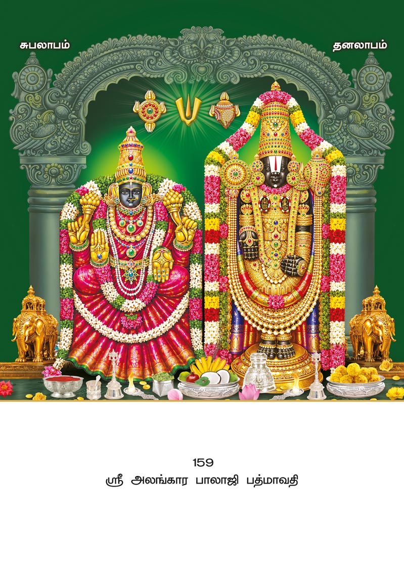10x15 Sri Alankara Balaji Padmavathi – Divine Tirumala Darshan PAM
