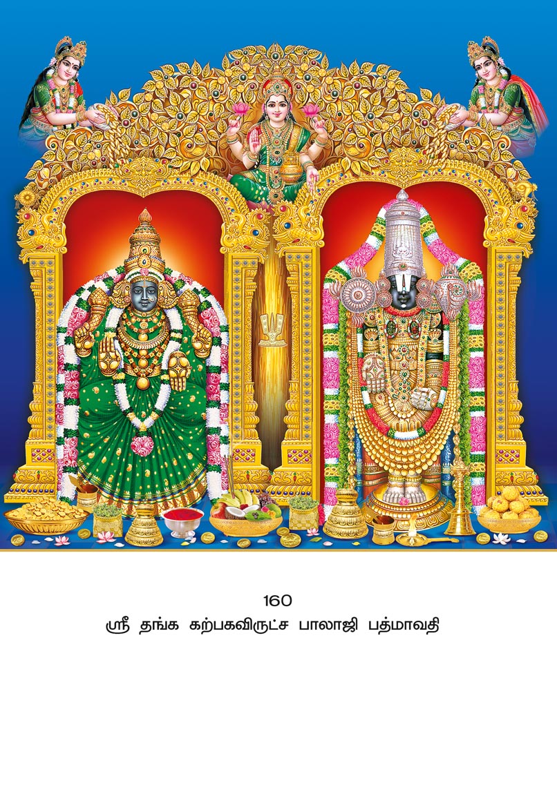 10x15 Sri Thanga Karpagavirutcha Balaji Padmavathi – Wish-Fulfilling Golden LAM