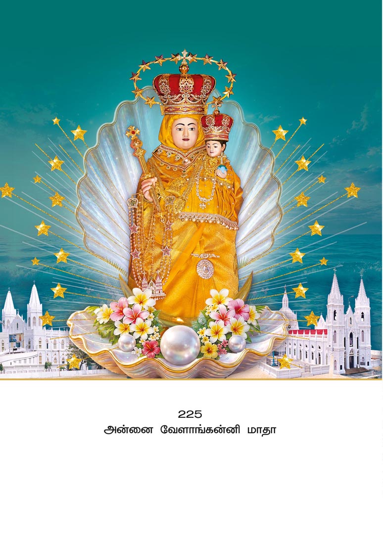 10x15 Annai Velankanni Matha – Sacred Star of the Sea LAM